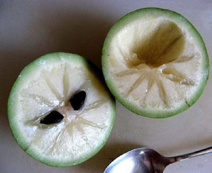 экзотические фрукты