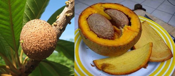 экзотические фрукты