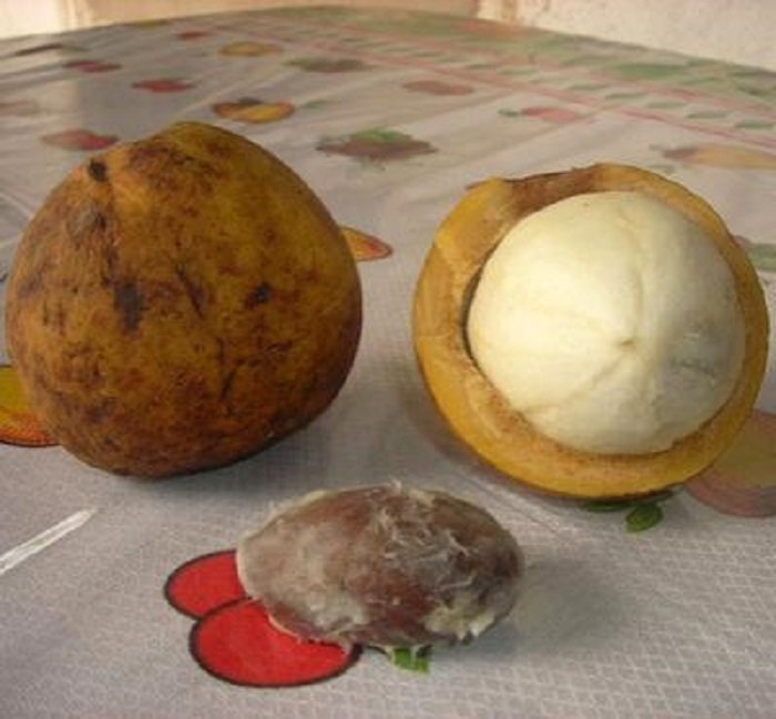 экзотические фрукты