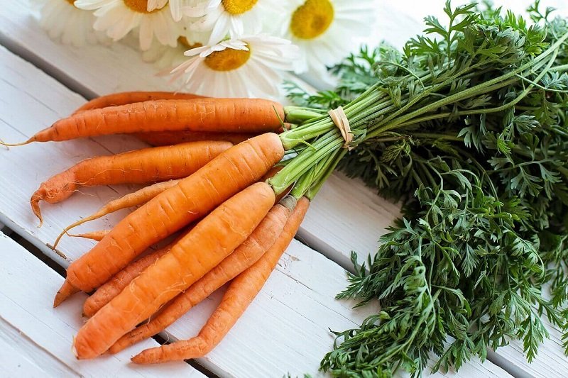 Морковная Диета На 3 Дня