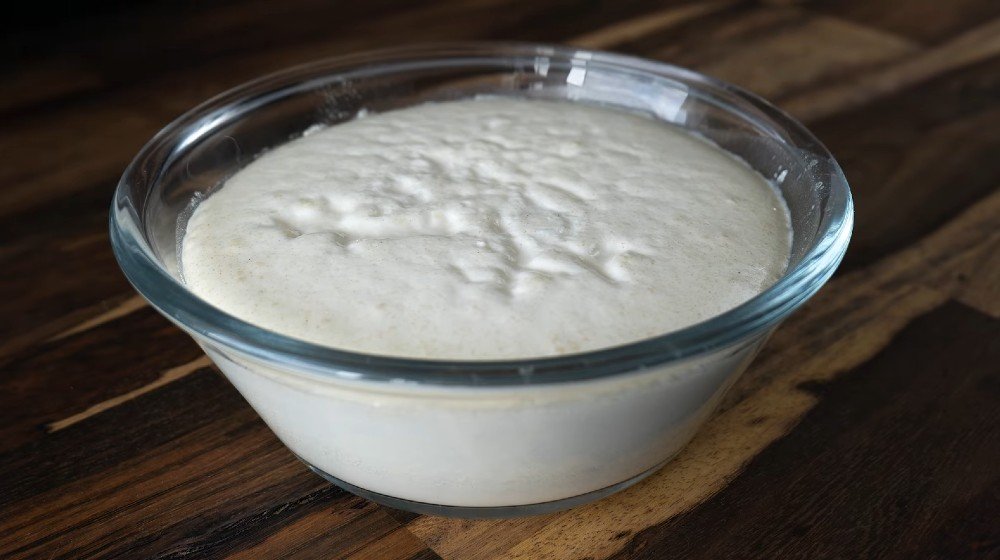 дрожжевая опара