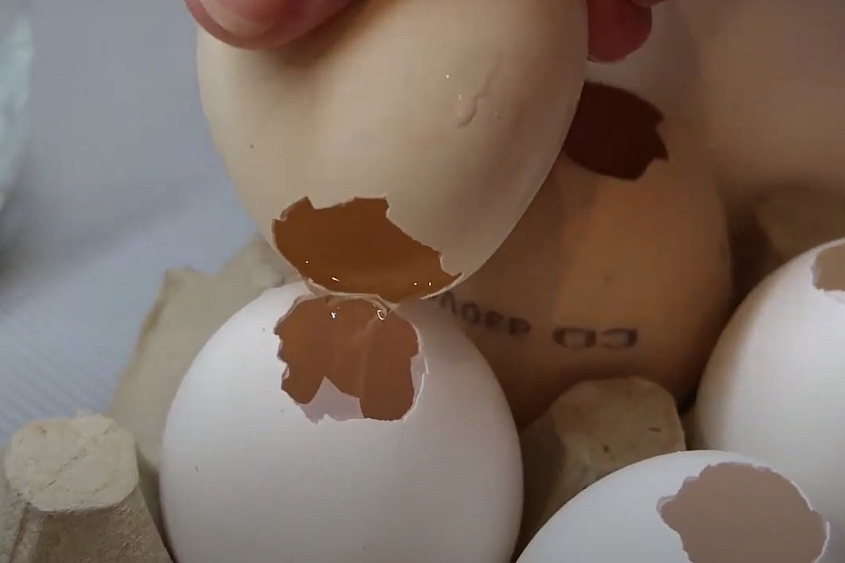 лайфхак со скорлупой