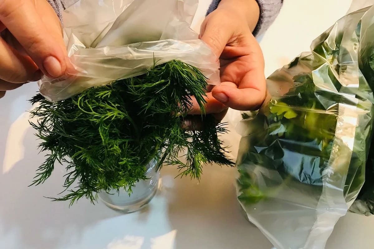 сухой паек рецепты