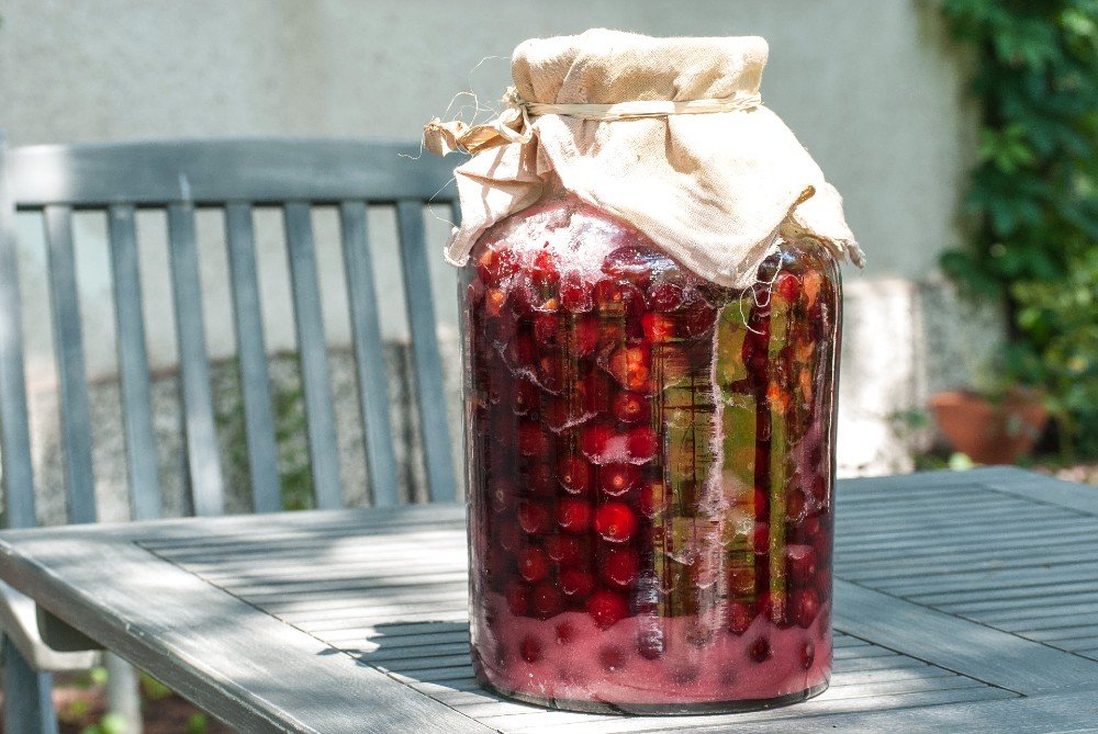 домашняя вишневка