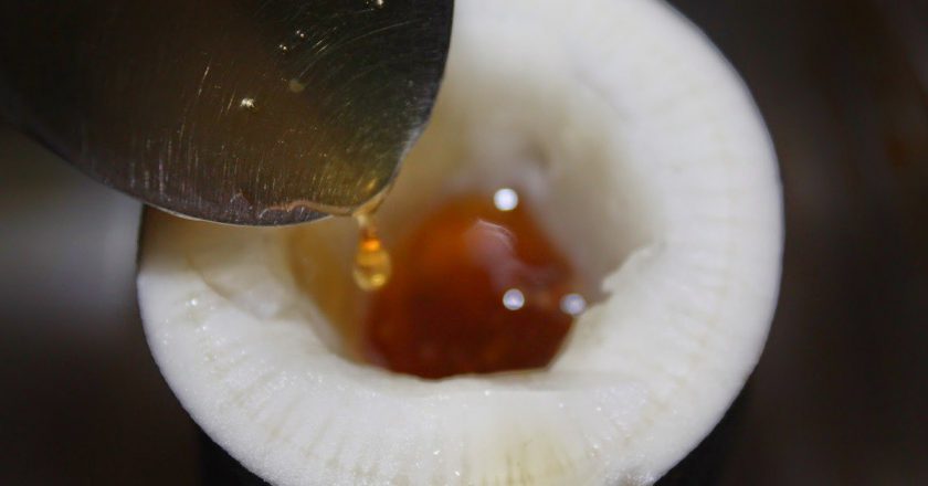 11 средств для лечения кашля