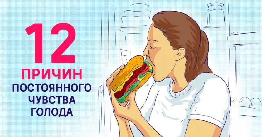 12 причин постоянного чувства голода причины постоянного чувства голода