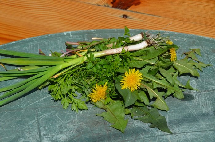 салат из одуванчиков фото