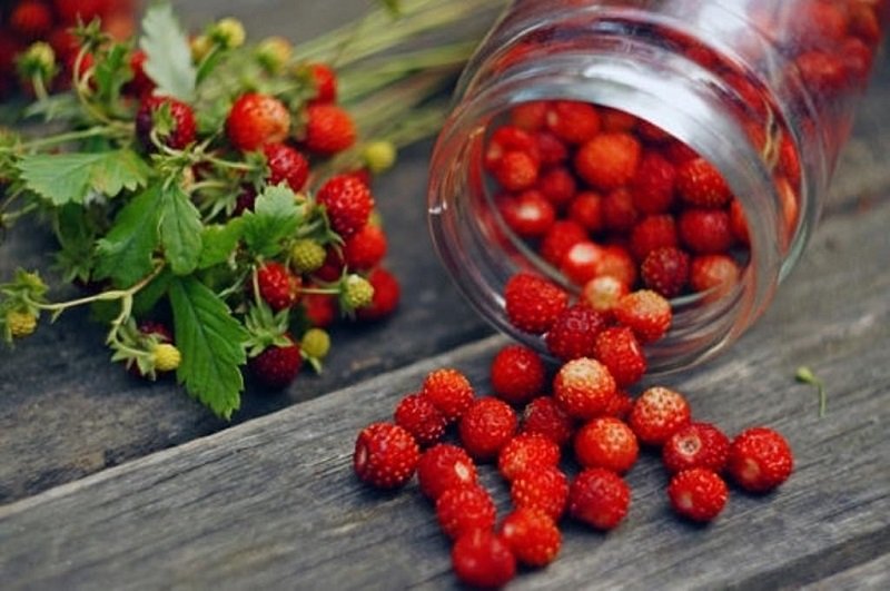 апрельские продукты