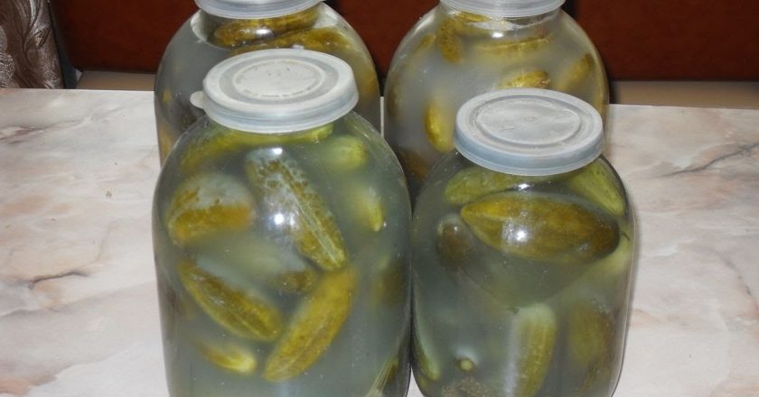 белый налет в банках