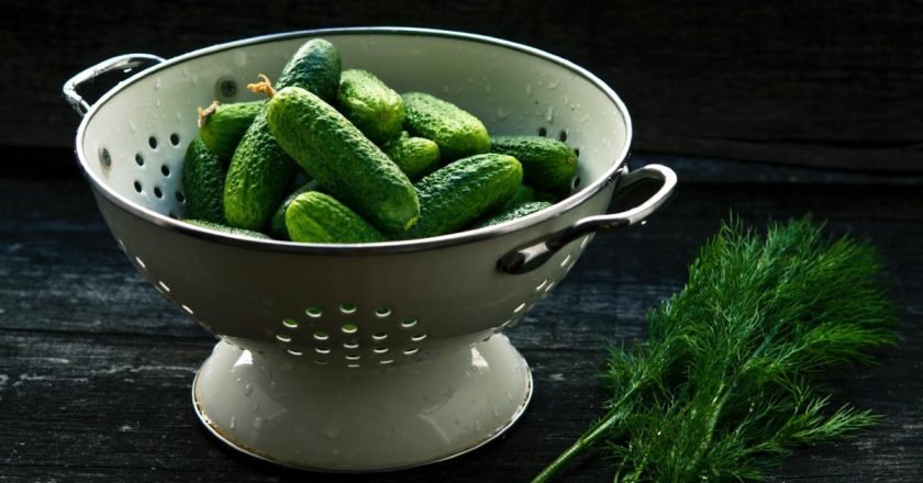 как мариновать огурцы