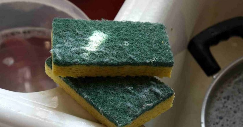 бактерии на кухне