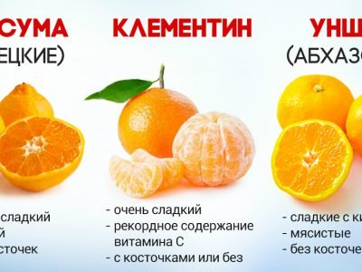 Блюда из мандаринов