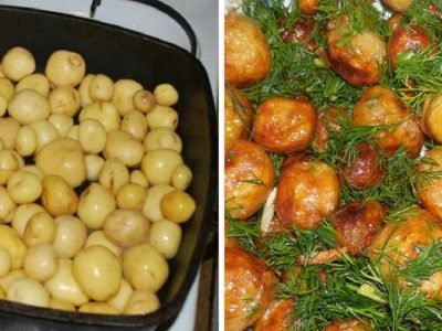 Блюда из молодого картофеля