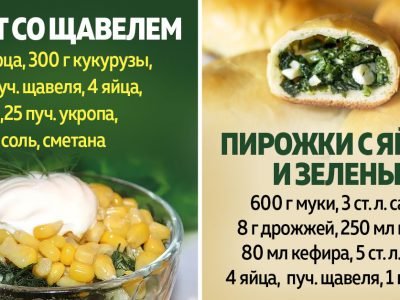Как приготовить блюда из щавеля