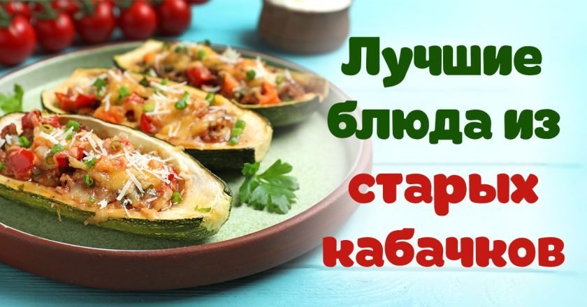 блюда из старых кабачков