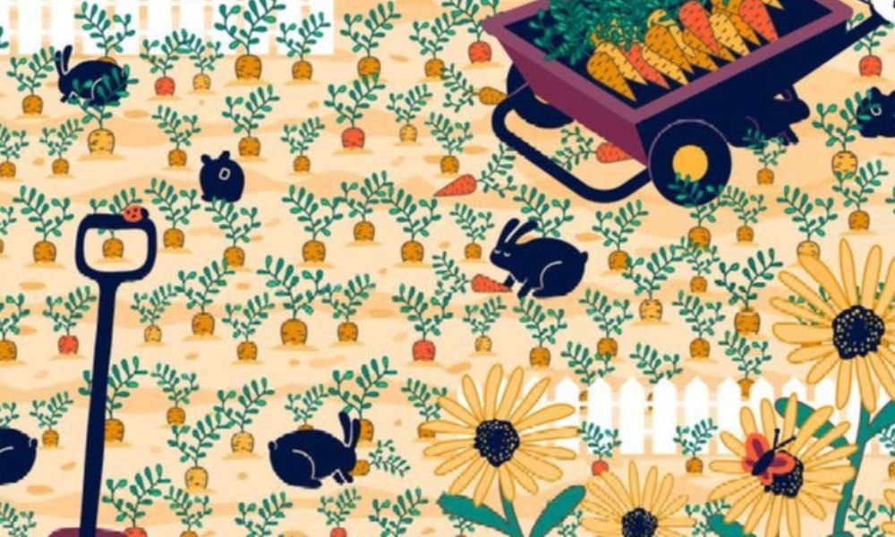 найди кольцо