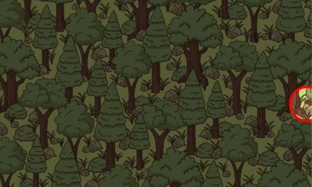 задача с ежиком