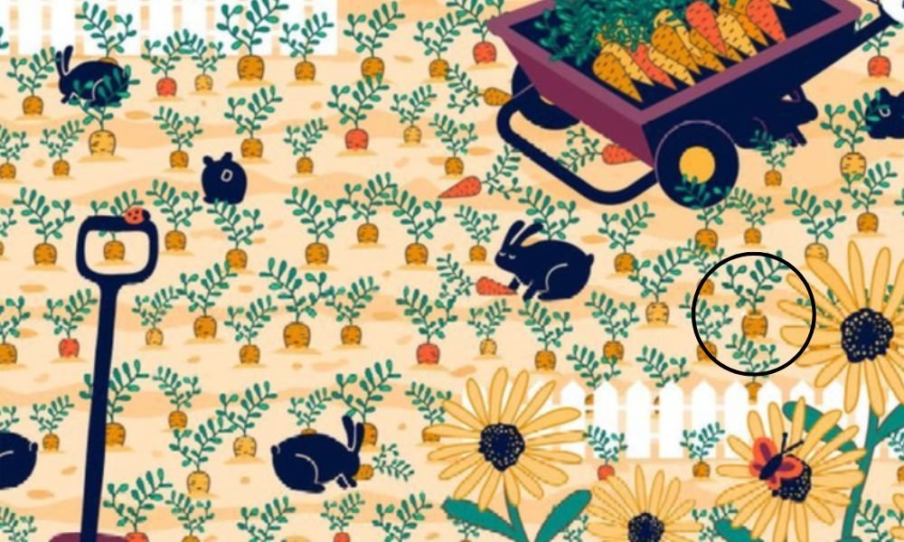 кольцо на картинке