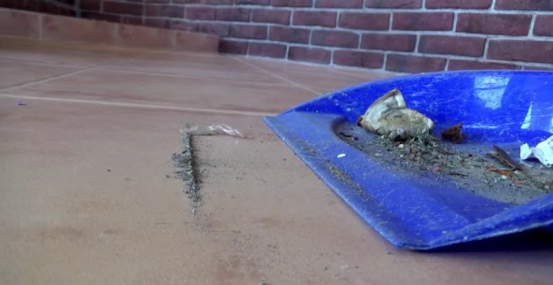 удобный совок фото