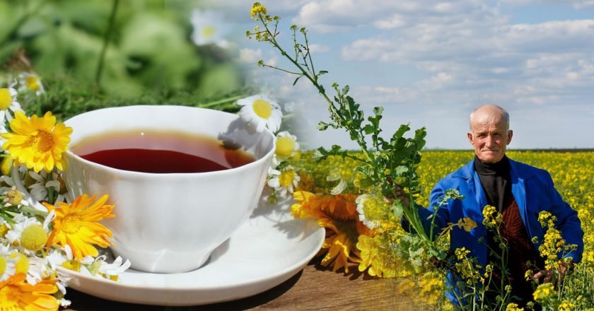 травяной чай