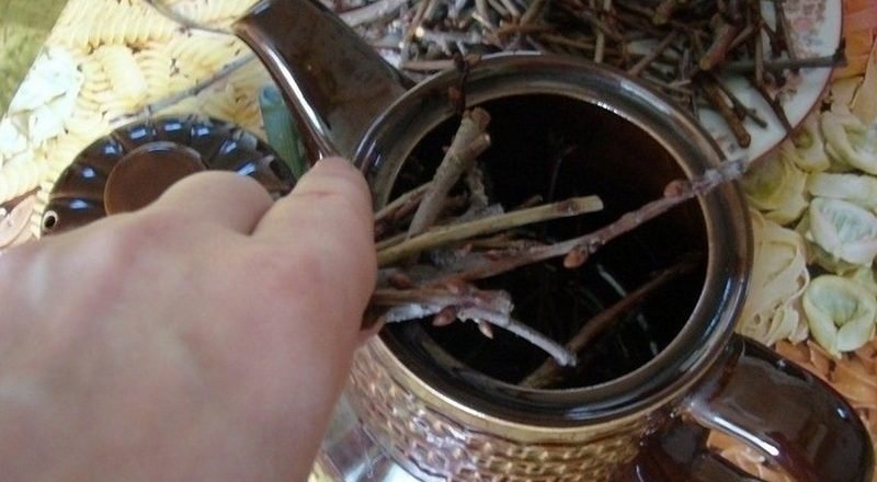 Чем полезен чай из веток и как правильно его заваривать - Со Вкусом