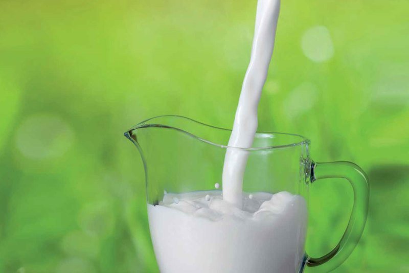 разница между козьим и коровьим молоком