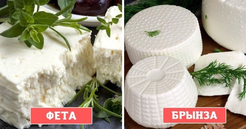 Чем отличаются сыры
