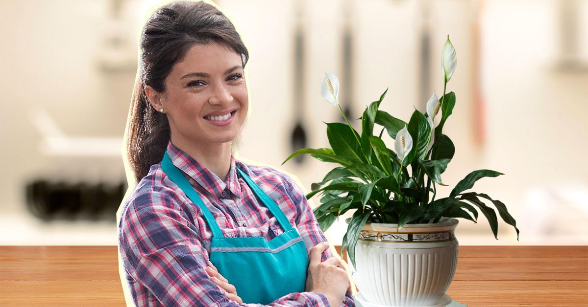 женское счастье уход