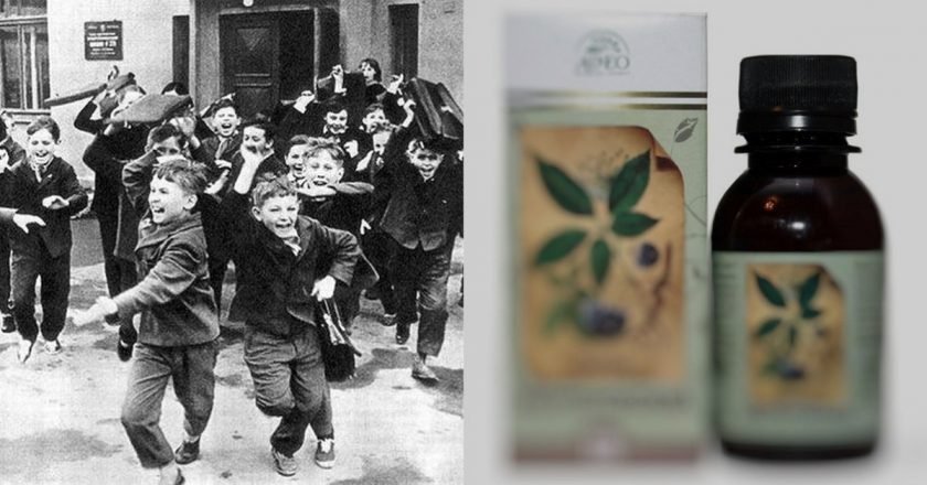 Применение элеутерококка