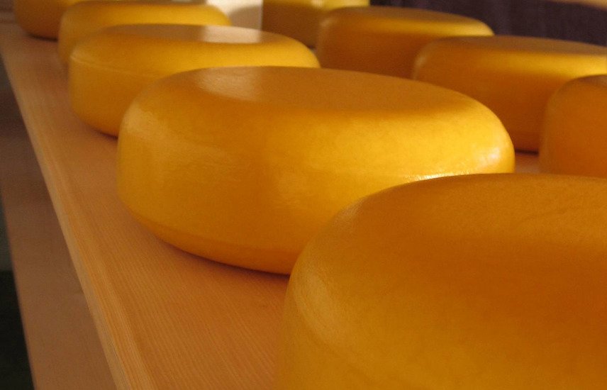 когда лучше есть сыр