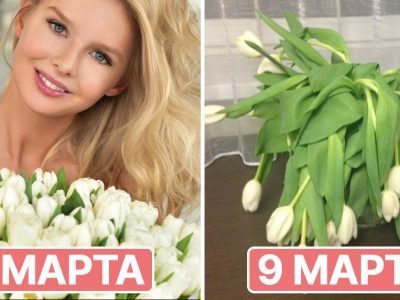 Чем заменить цветы на 8 Марта: 9 лучших вариантов