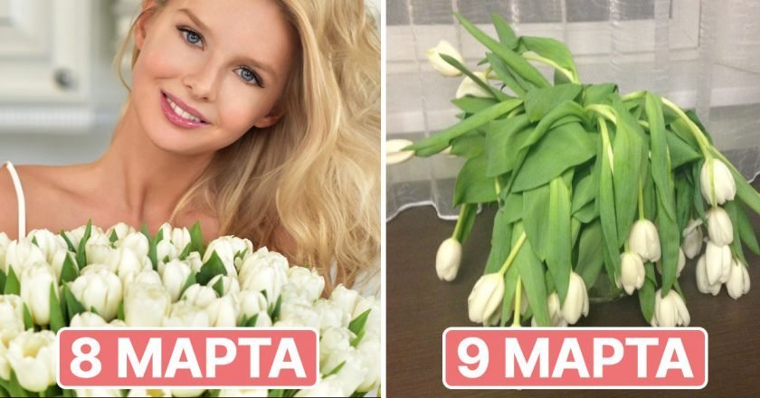 комнатное растение вместо цветов