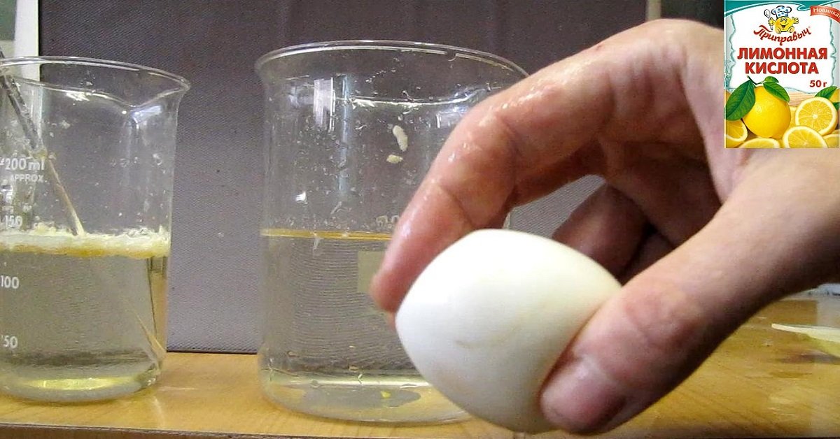 Уксусная кислота смешивается с водой. Яйцо в лимонной кислоте. Опыт с яйцом и лимонной кислотой. Яйцо в растворе лимонной кислоты. Скорлупа в уксусе.