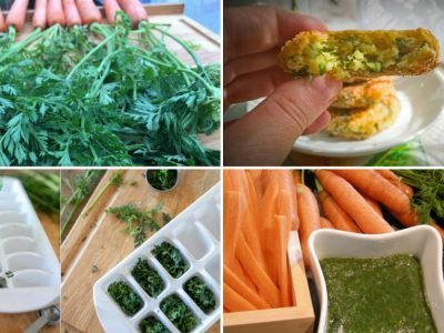 Что делать с ботвой моркови