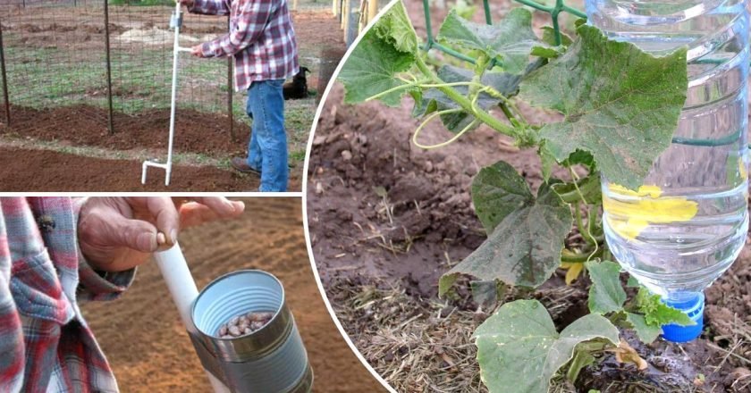 что делать весной на даче