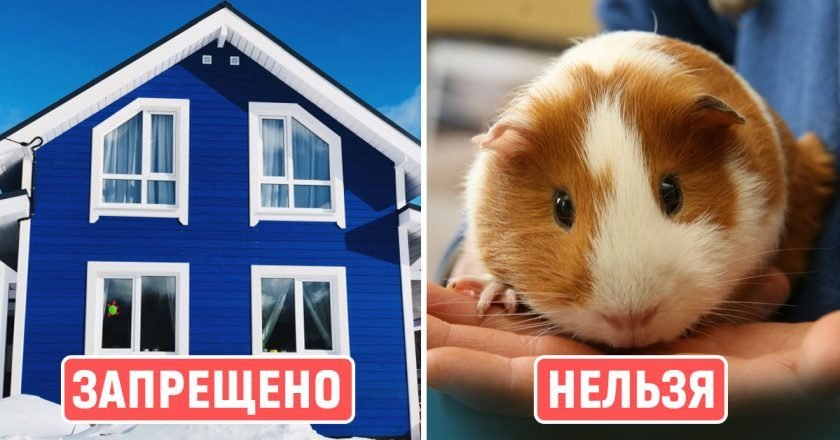 что нельзя делать в Швеции