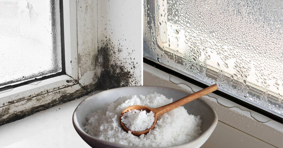 чтобы окна не запотевали