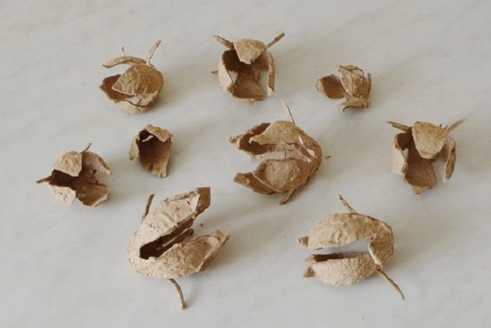 заготовка цветка из яичных лотков