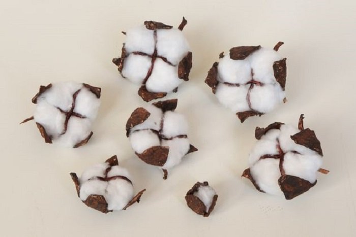 цветы хлопка из яичных лотков