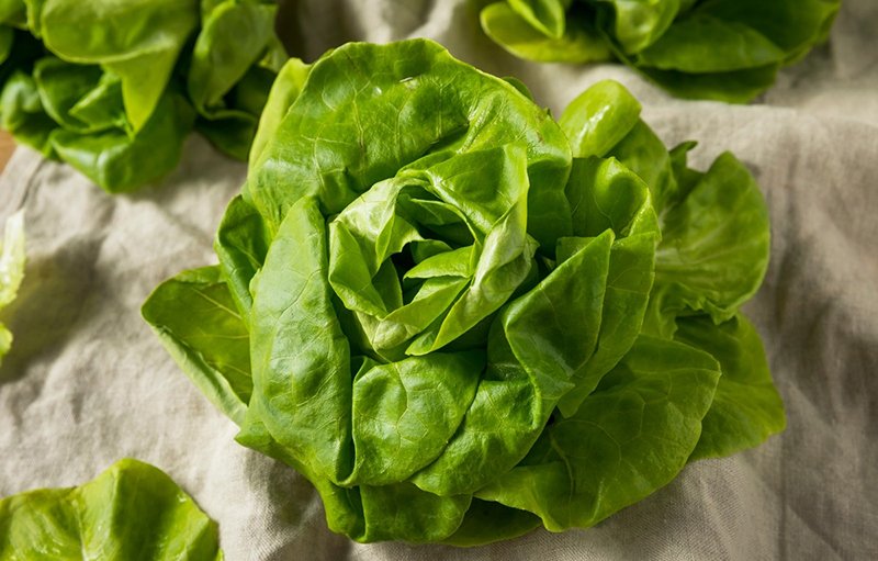 листья салата