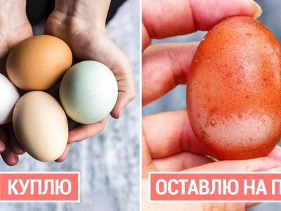 Что скрывают производители