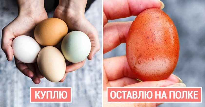 Что скрывают производители Что скрывают производители