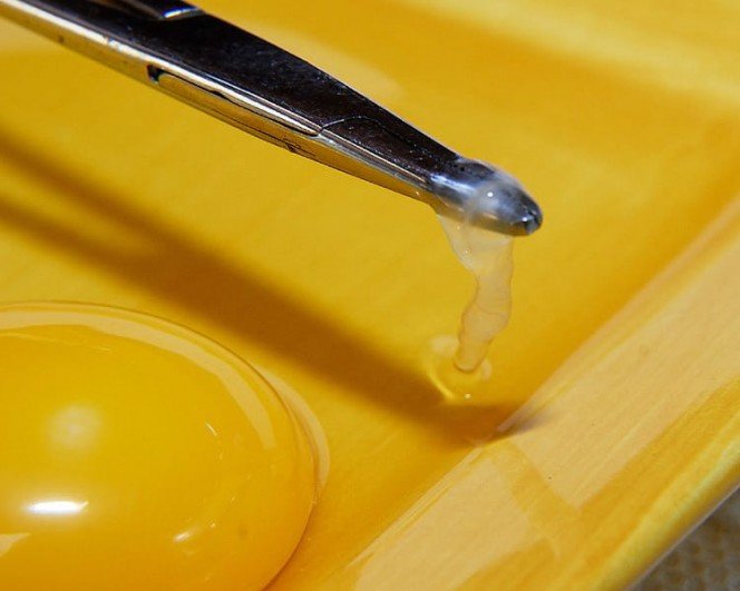 нить халаза