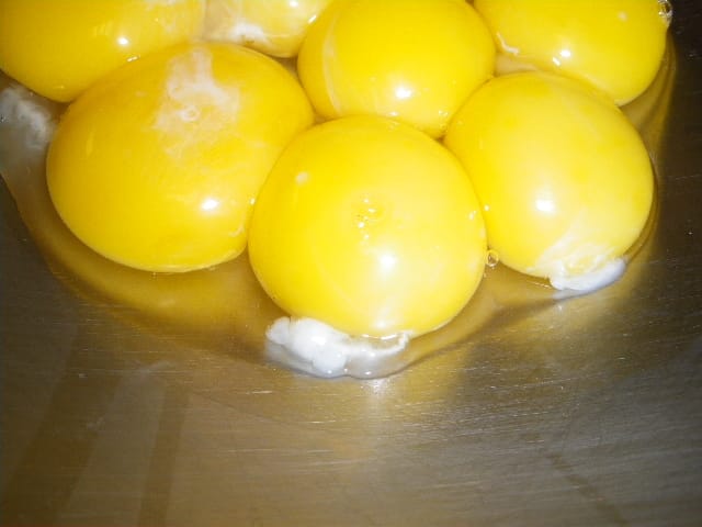 нить возле желтка