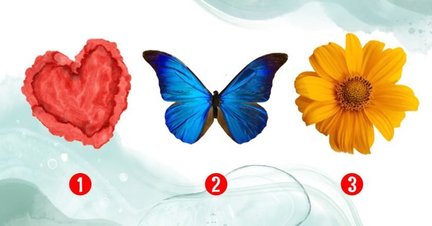 Быстрый тест «Что тебя ждет в будущем» что тебя ждет