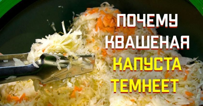 почему квашеная капуста темнеет