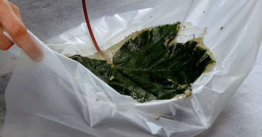 как сделать чашу