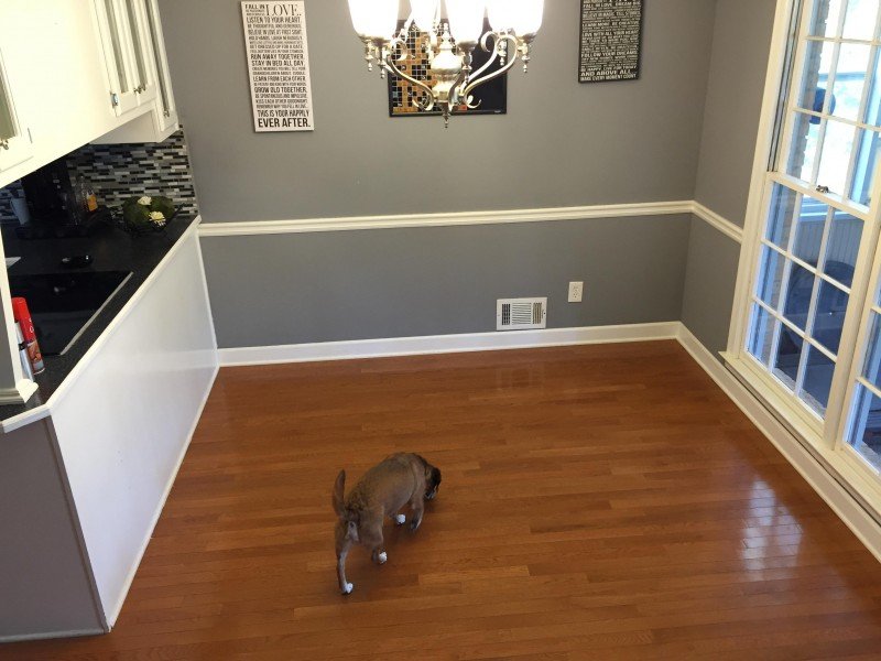 пустая столовая