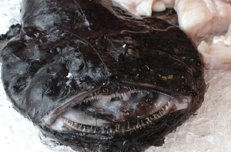 деликатесы