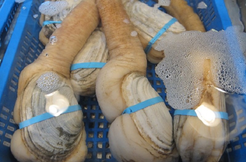 деликатесы